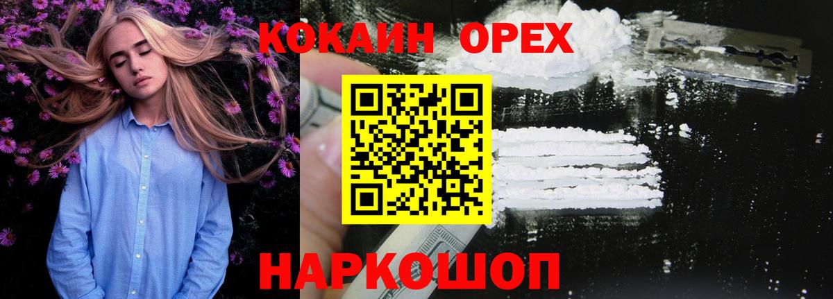 Курчатов  COCAIN Эквадор  Вход с VPN 