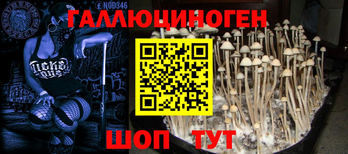 Псилоцибиновые грибы MAGIC MUSHROOMS  хочу   Курчатов  Вход с VPN  Псилоцибиновые грибы Magic Shrooms 