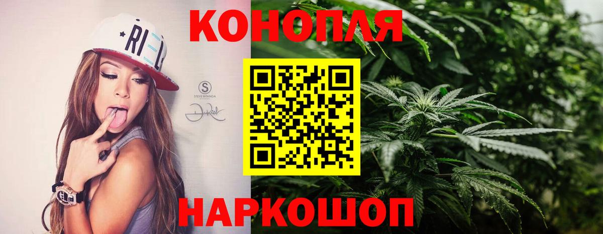 Шишки марихуана марихуана  Бошки Шишки LSD WEED  Шишки марихуана White Widow  Бошки марихуана конопля  Курчатов 